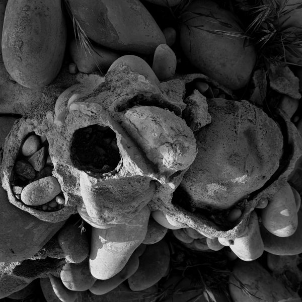 عکاسی های نعیمه وحدت خواه