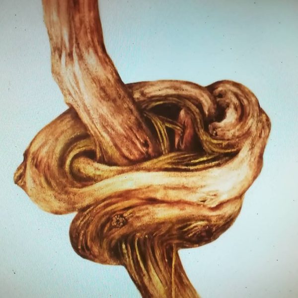 نقاشی های نعیمه وحدت خواه